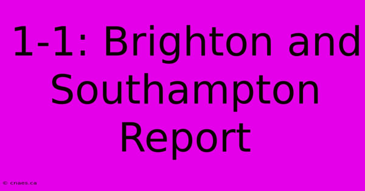 1-1: Brighton And Southampton Report