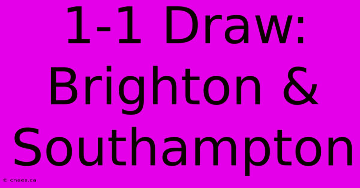 1-1 Draw: Brighton & Southampton