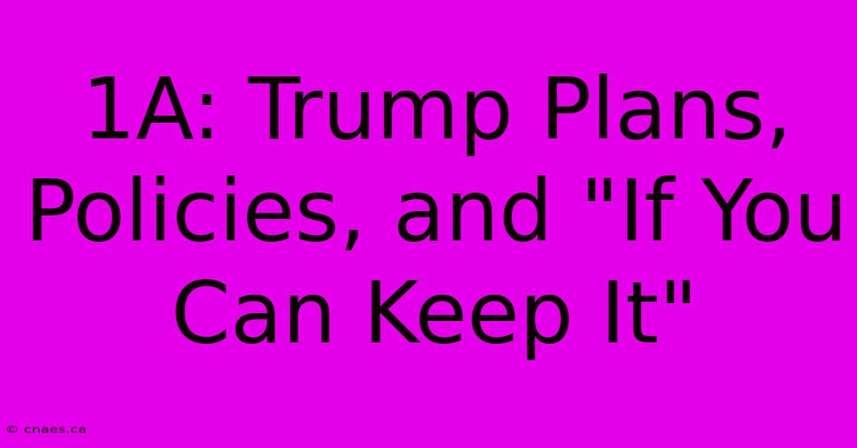 1A: Trump Plans, Policies, And 