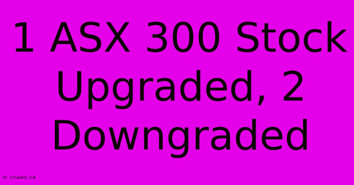 1 ASX 300 Stock Upgraded, 2 Downgraded 