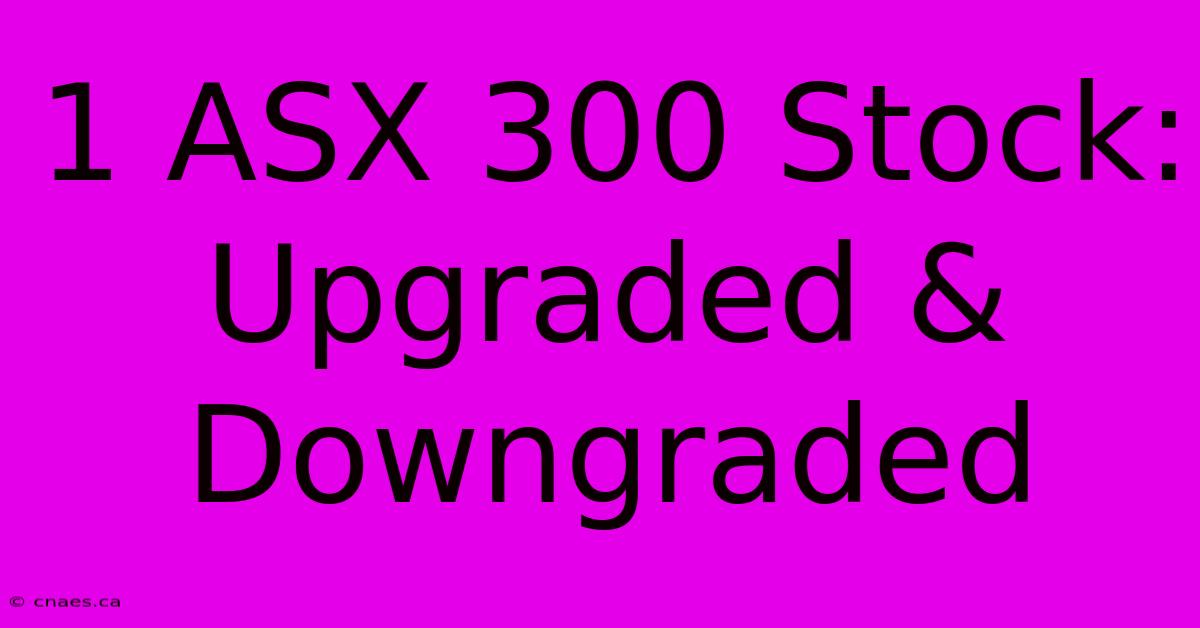 1 ASX 300 Stock: Upgraded & Downgraded