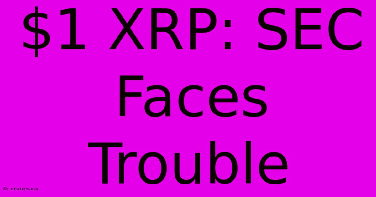 $1 XRP: SEC Faces Trouble