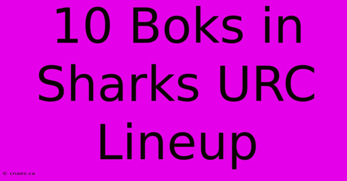 10 Boks In Sharks URC Lineup