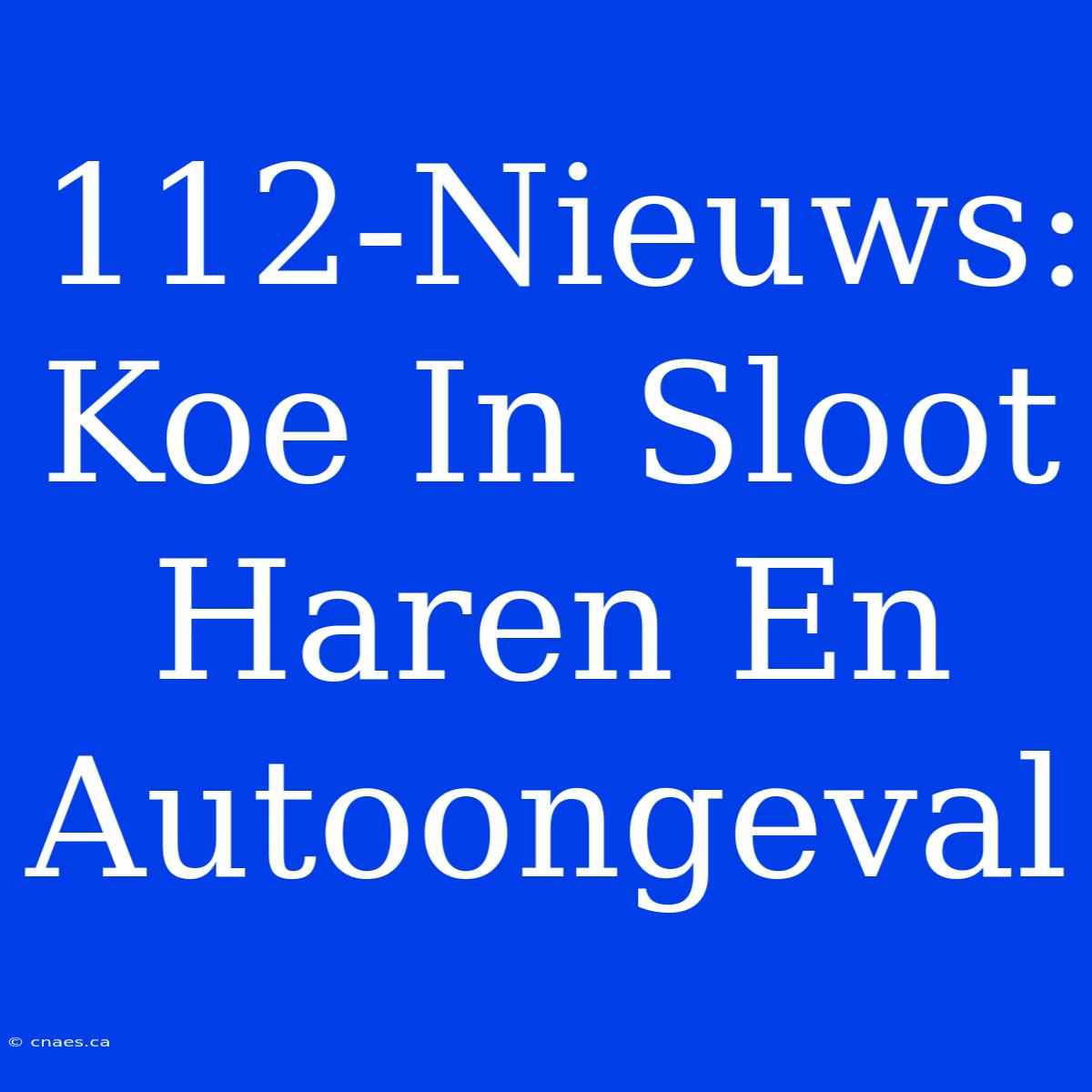 112-Nieuws: Koe In Sloot Haren En Autoongeval