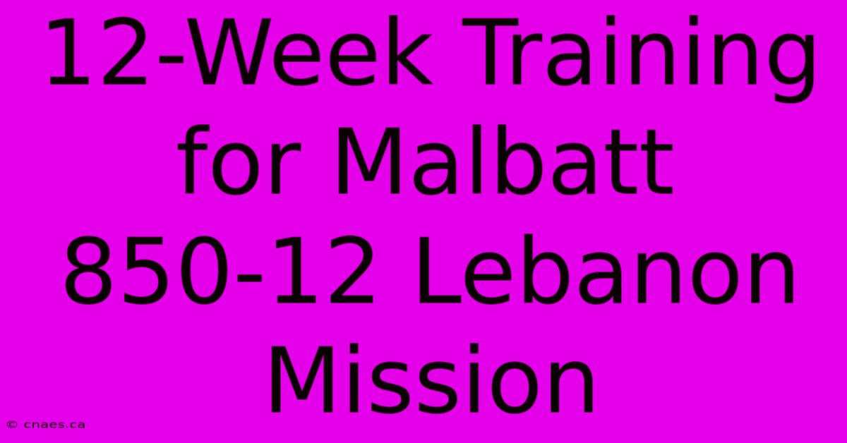 12-Week Training For Malbatt 850-12 Lebanon Mission