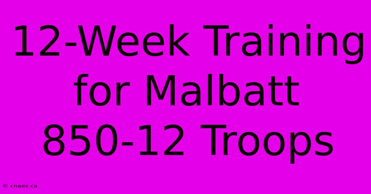 12-Week Training For Malbatt 850-12 Troops