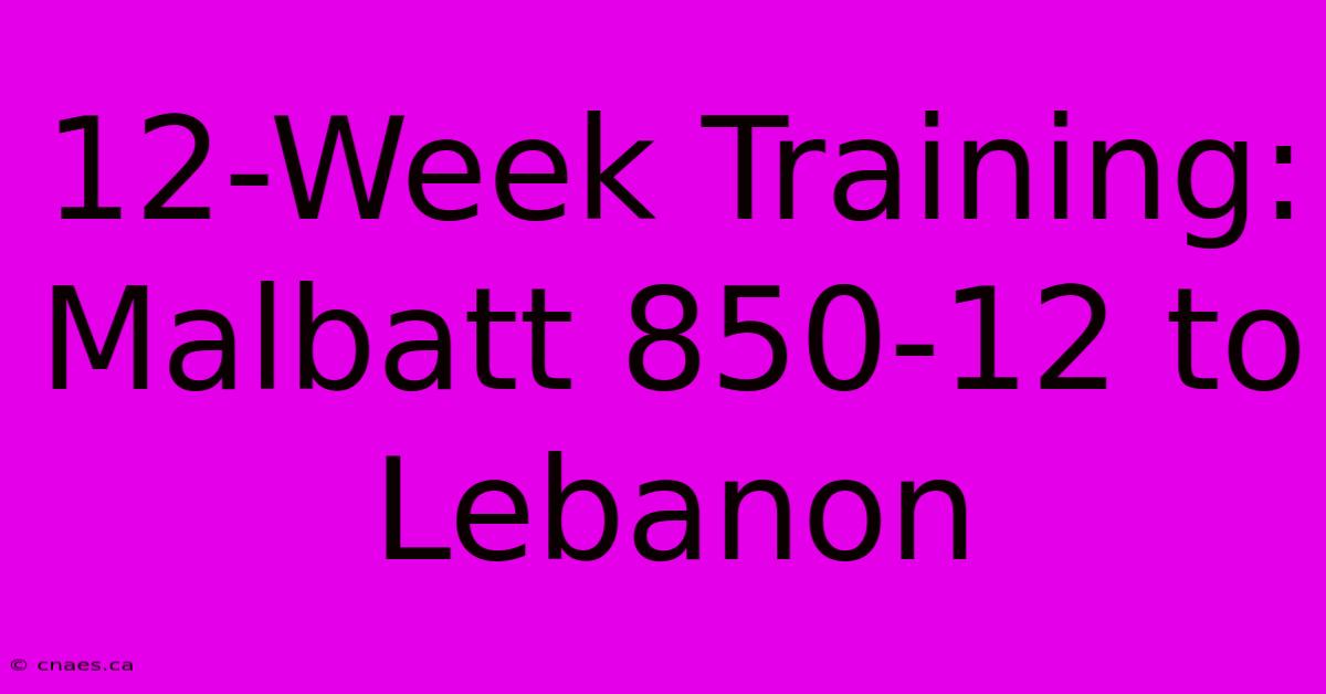 12-Week Training: Malbatt 850-12 To Lebanon