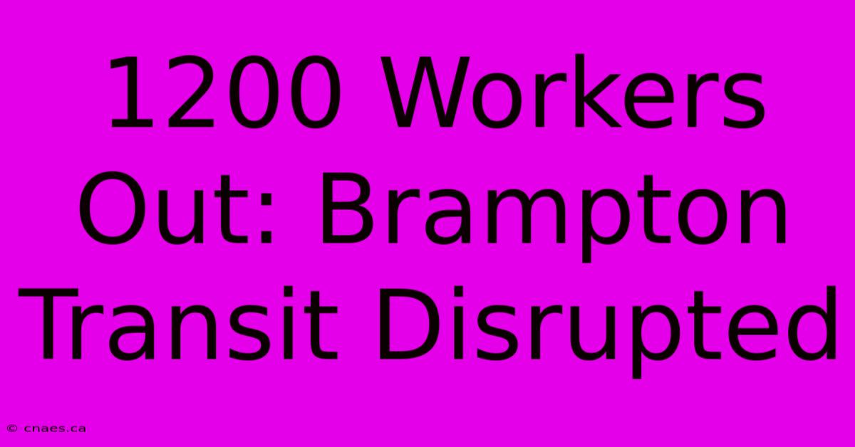 1200 Workers Out: Brampton Transit Disrupted