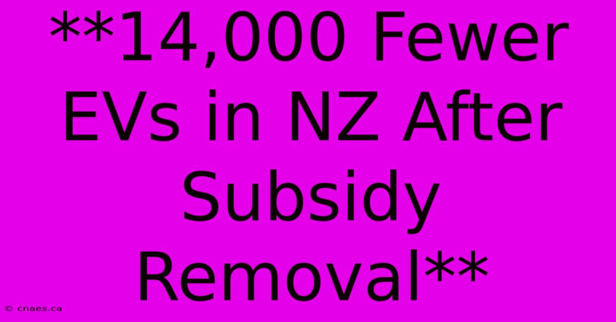 **14,000 Fewer EVs In NZ After Subsidy Removal**