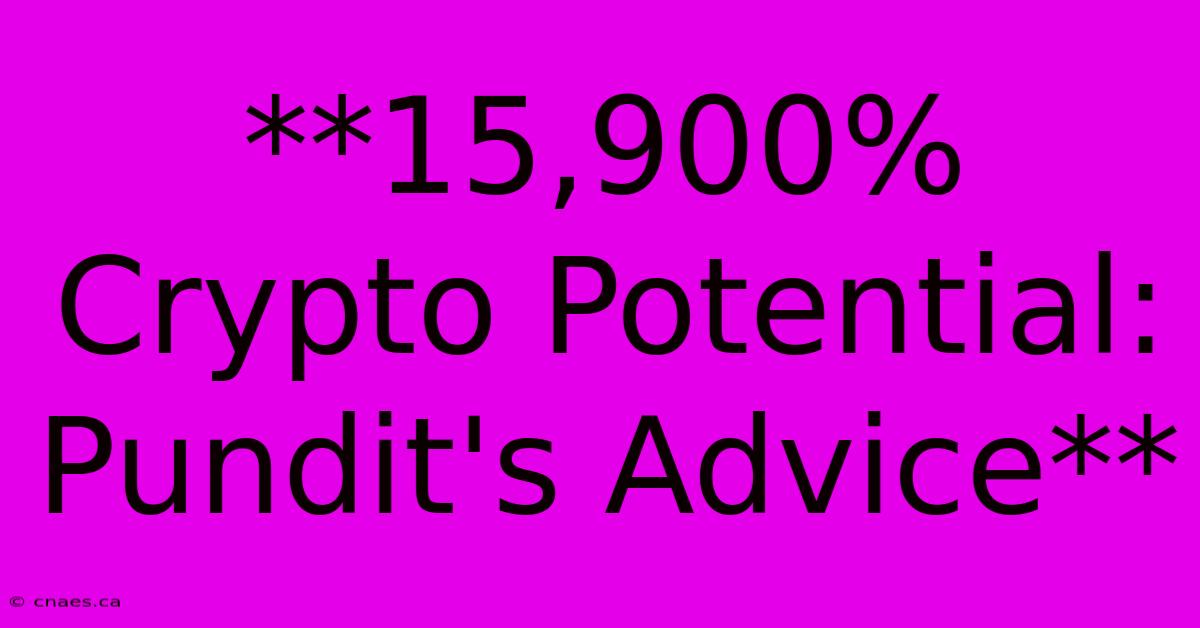 **15,900% Crypto Potential: Pundit's Advice**