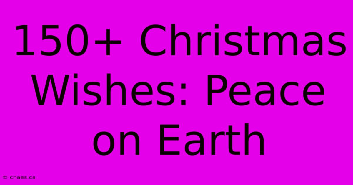 150+ Christmas Wishes: Peace On Earth