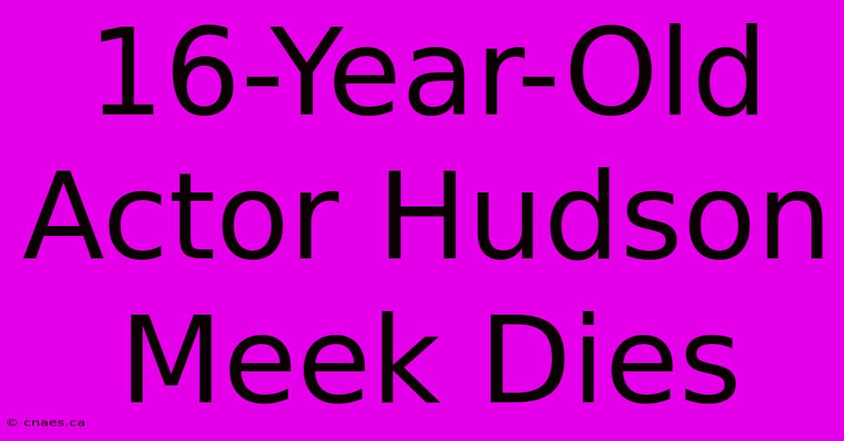 16-Year-Old Actor Hudson Meek Dies