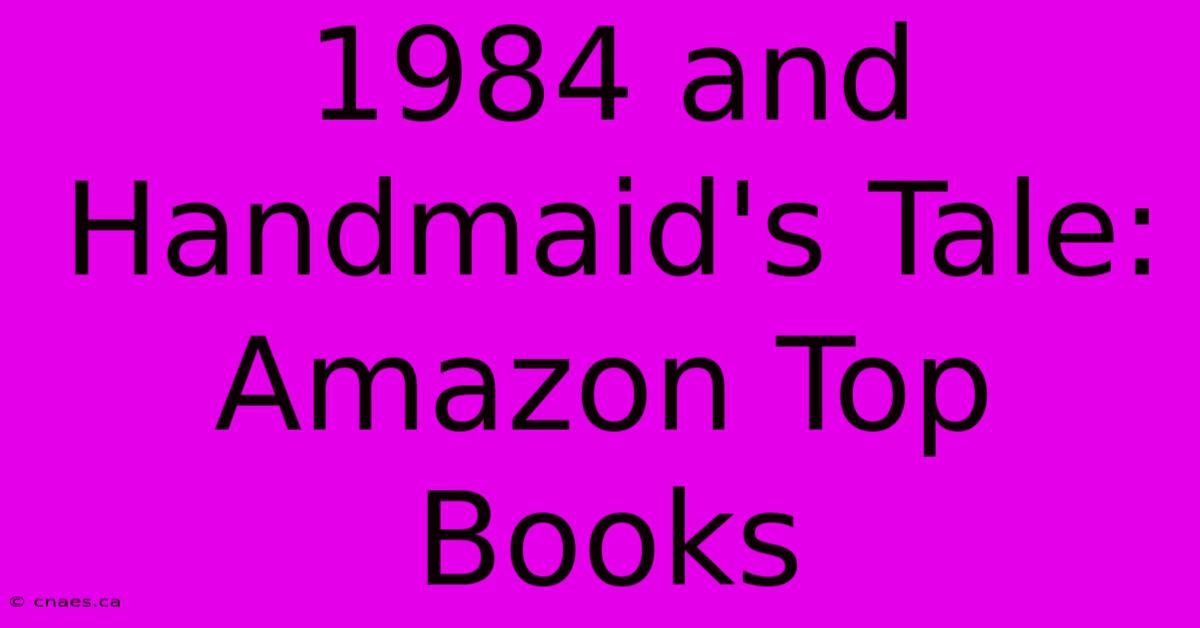 1984 And Handmaid's Tale: Amazon Top Books 