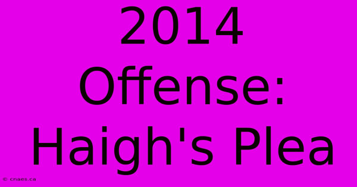 2014 Offense: Haigh's Plea