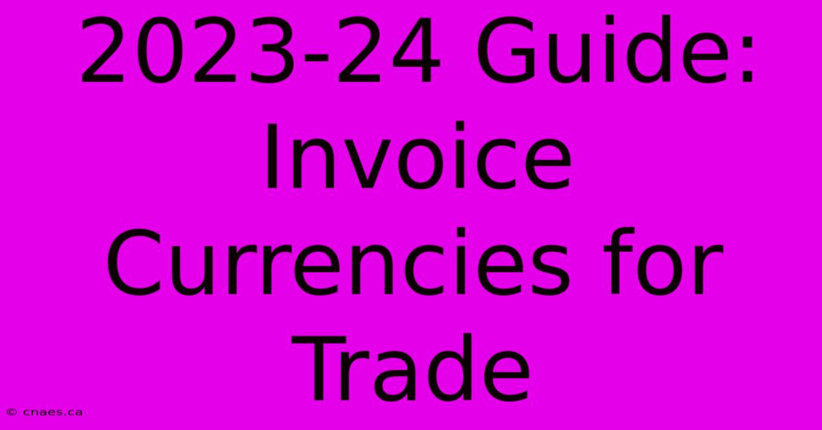 2023-24 Guide: Invoice Currencies For Trade