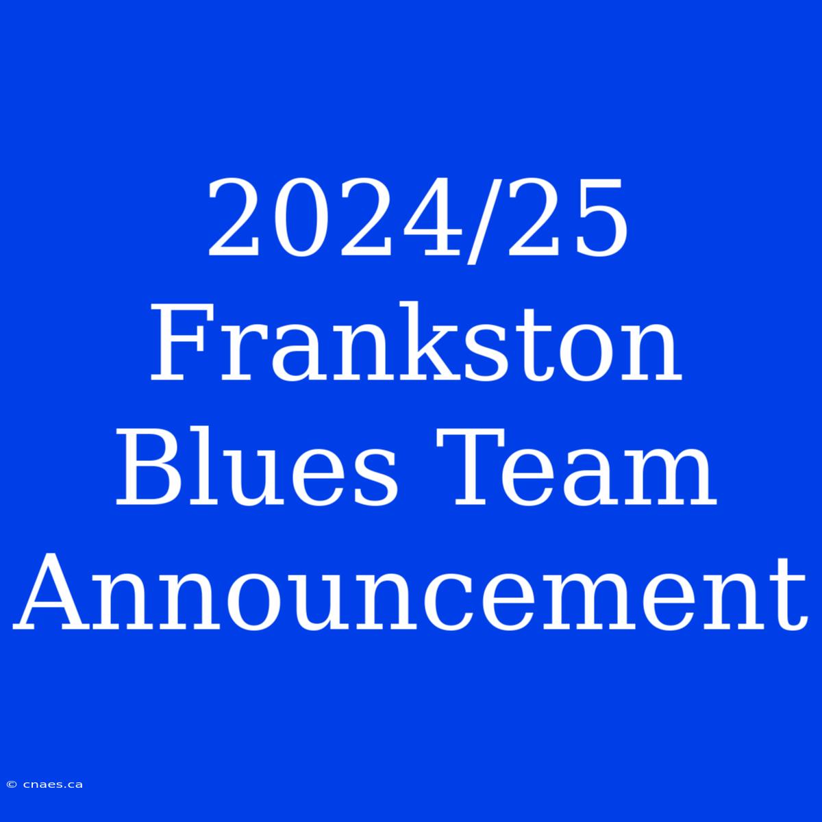 2024/25 Frankston Blues Team Announcement