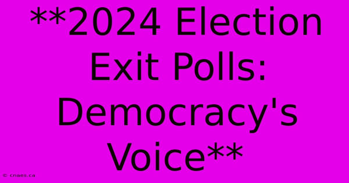 **2024 Election Exit Polls: Democracy's Voice**