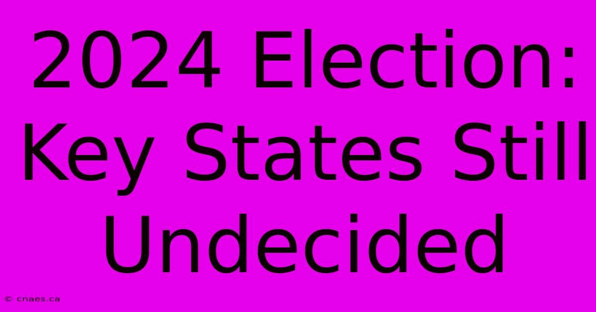 2024 Election: Key States Still Undecided