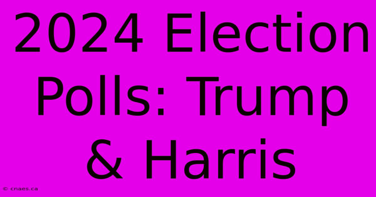 2024 Election Polls: Trump & Harris