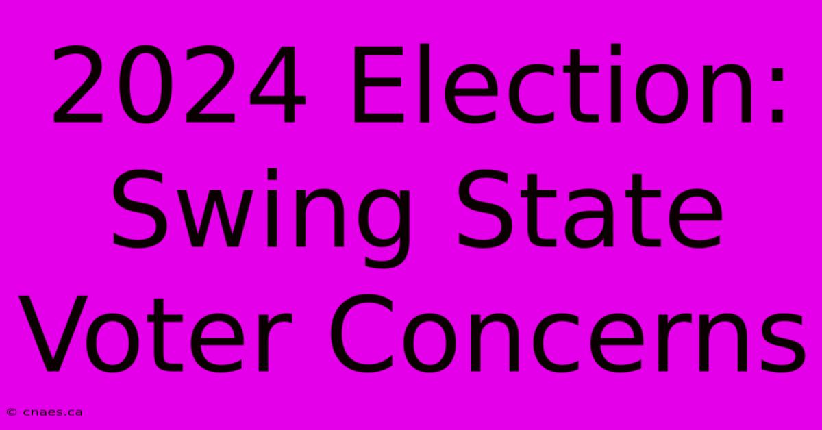 2024 Election: Swing State Voter Concerns