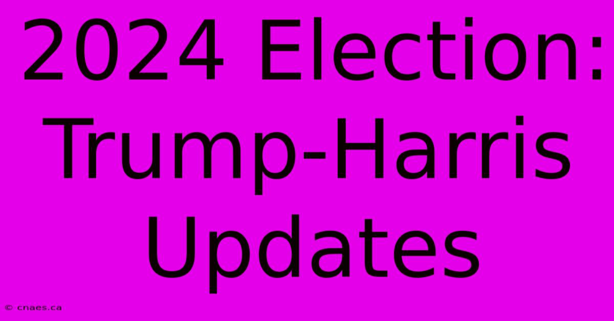 2024 Election: Trump-Harris Updates 