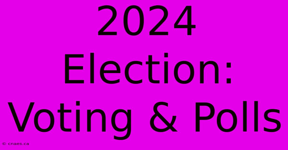 2024 Election: Voting & Polls