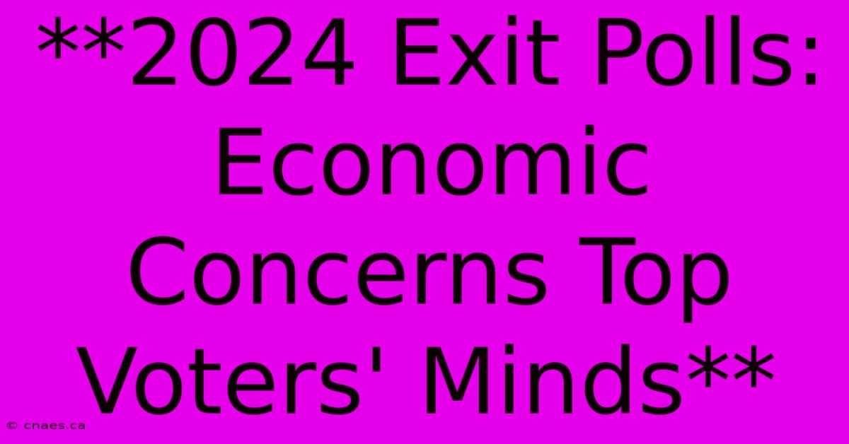 **2024 Exit Polls: Economic Concerns Top Voters' Minds** 