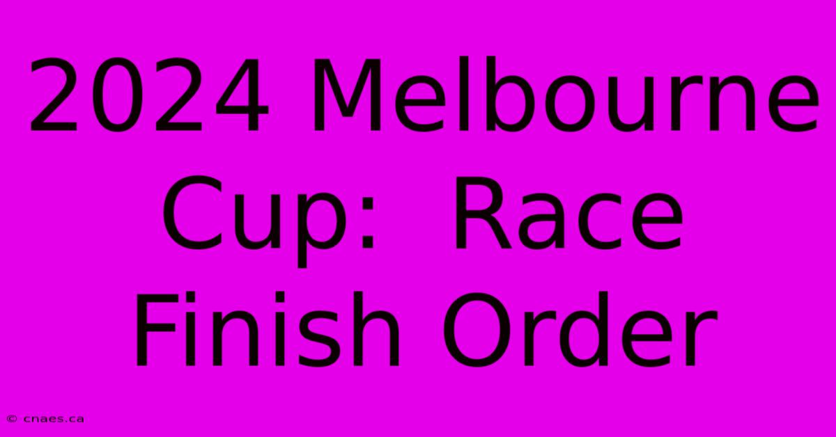 2024 Melbourne Cup:  Race Finish Order