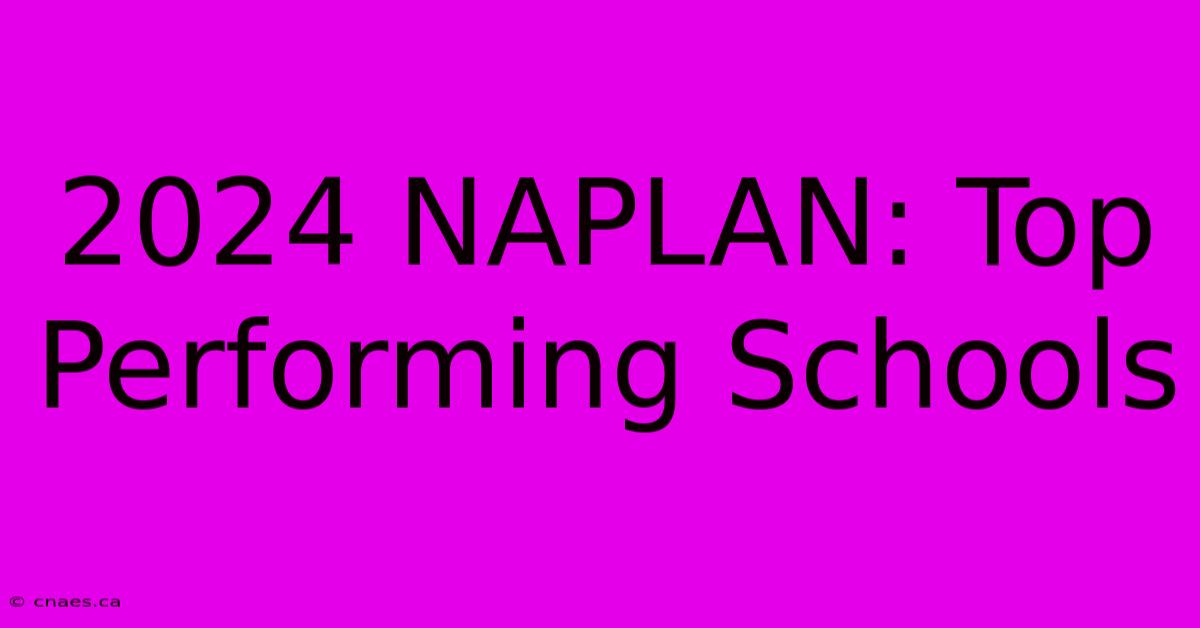 2024 NAPLAN: Top Performing Schools