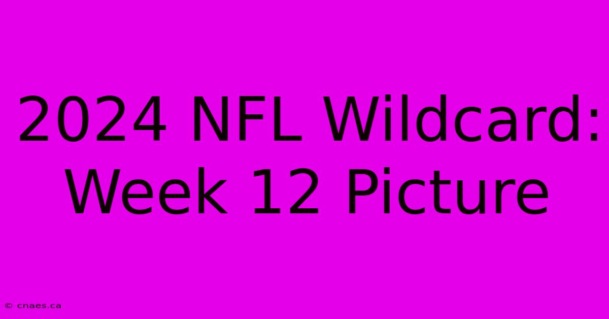 2024 NFL Wildcard: Week 12 Picture