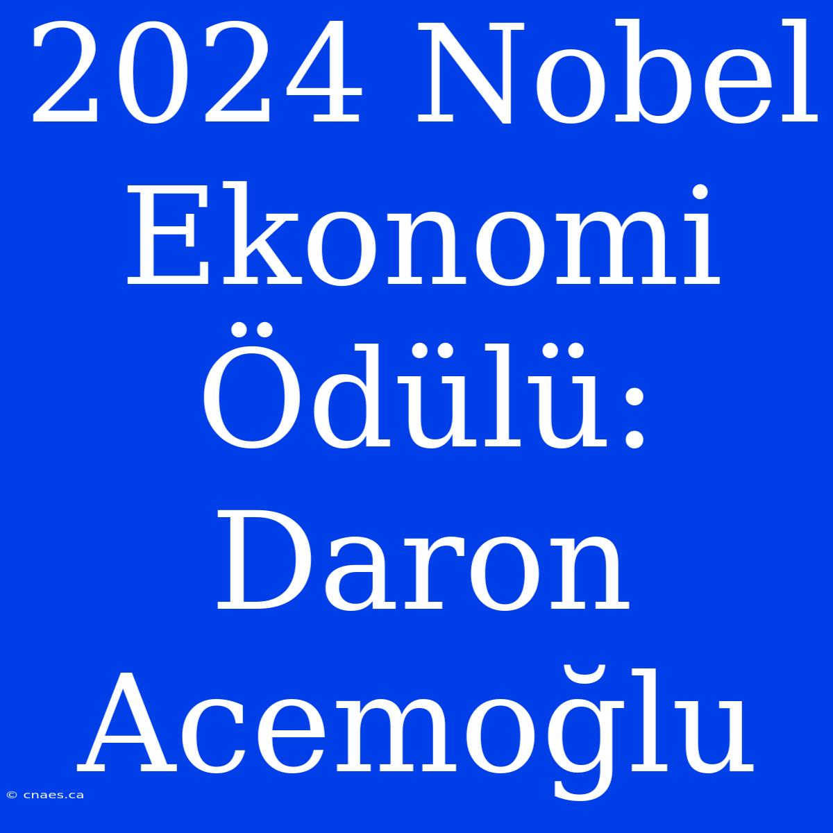 2024 Nobel Ekonomi Ödülü: Daron Acemoğlu