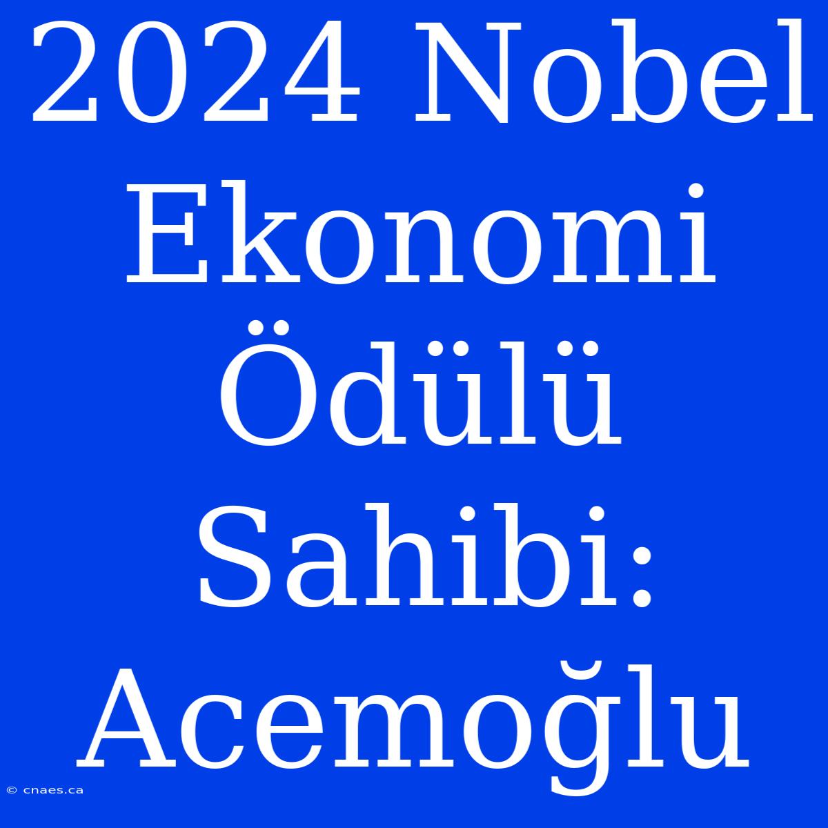 2024 Nobel Ekonomi Ödülü Sahibi: Acemoğlu