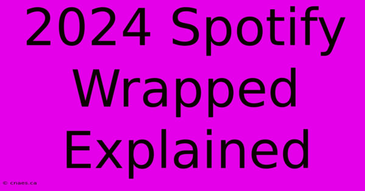 2024 Spotify Wrapped Explained