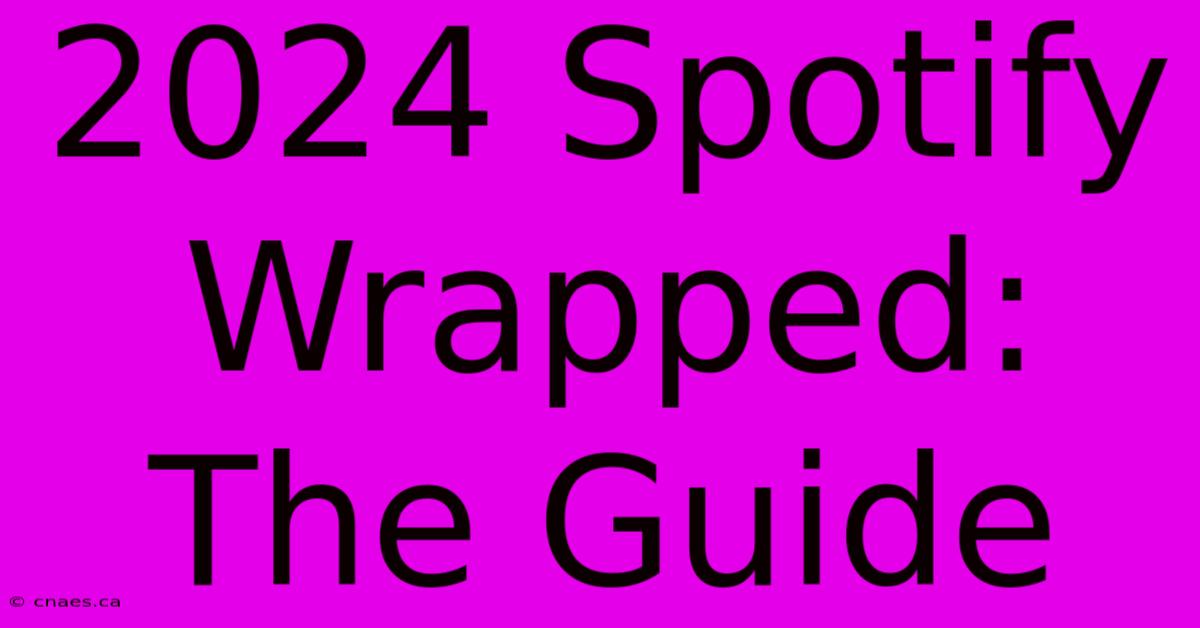 2024 Spotify Wrapped: The Guide