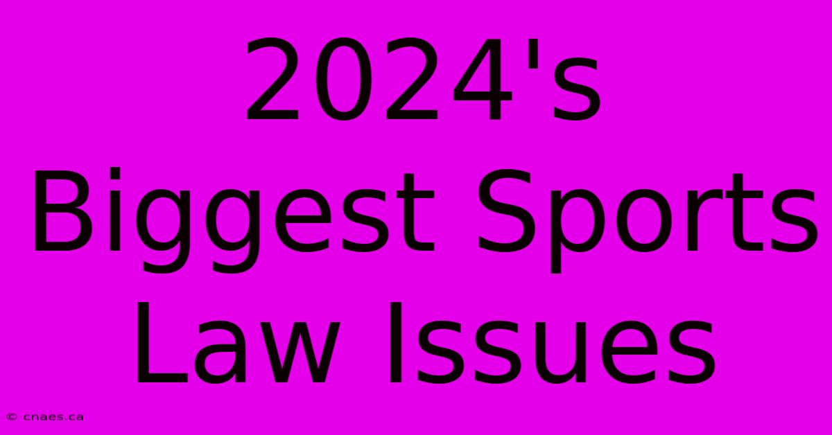 2024's Biggest Sports Law Issues