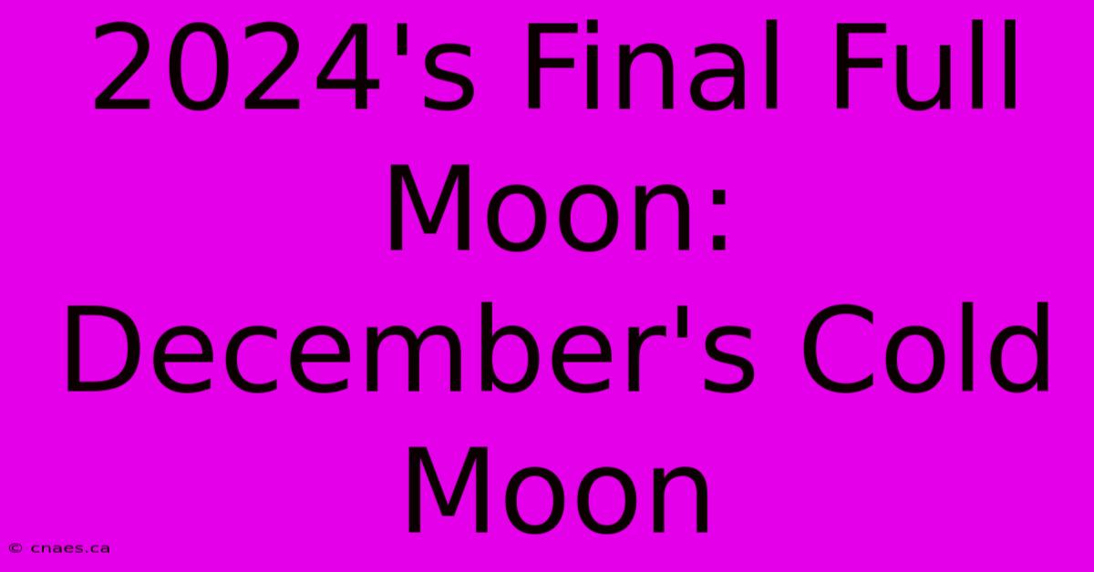 2024's Final Full Moon: December's Cold Moon