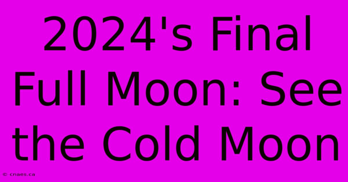 2024's Final Full Moon: See The Cold Moon