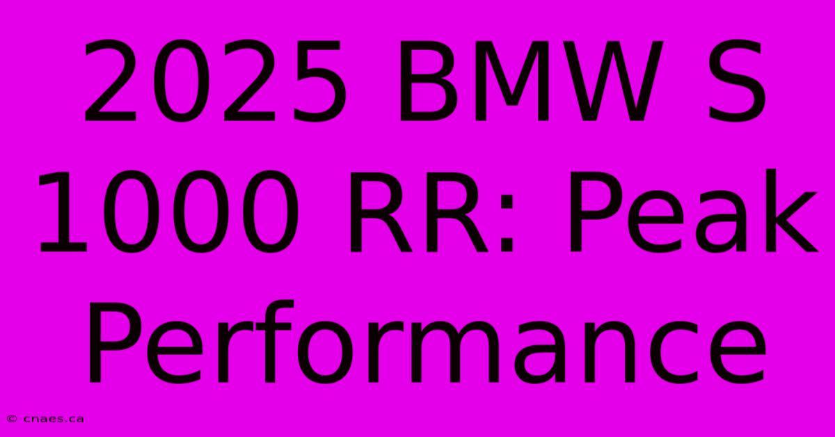 2025 BMW S 1000 RR: Peak Performance