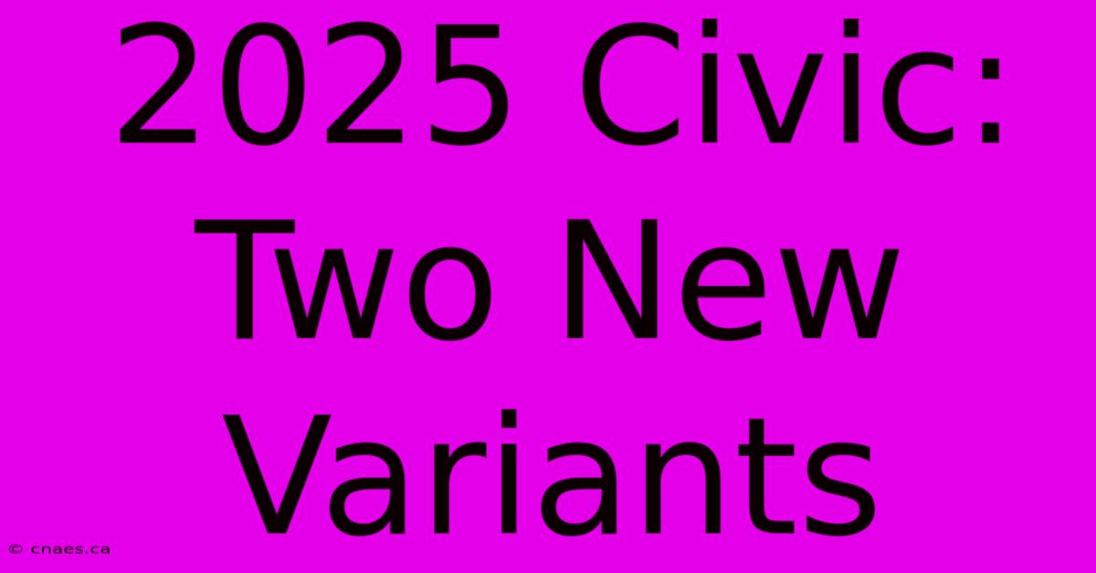 2025 Civic: Two New Variants