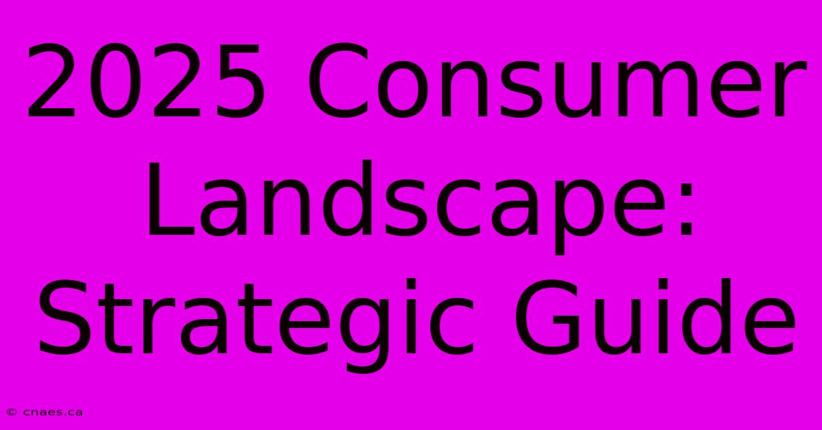 2025 Consumer Landscape: Strategic Guide 