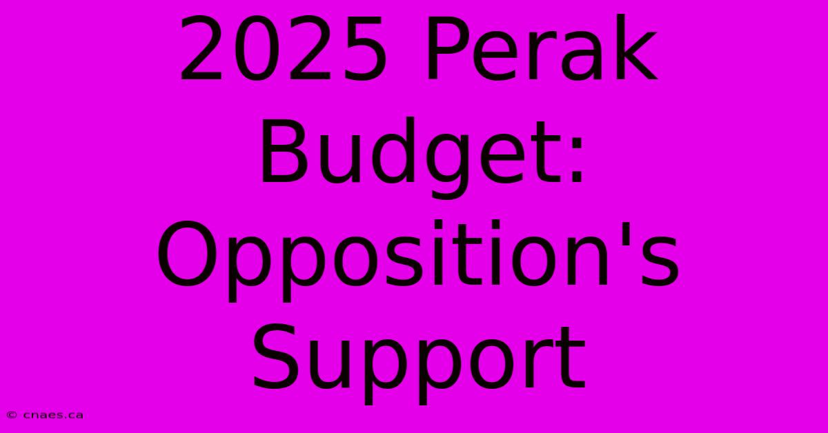 2025 Perak Budget: Opposition's Support