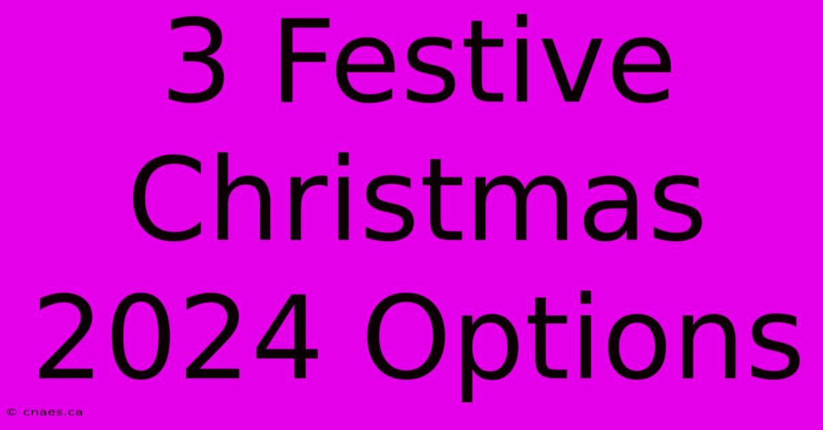 3 Festive Christmas 2024 Options