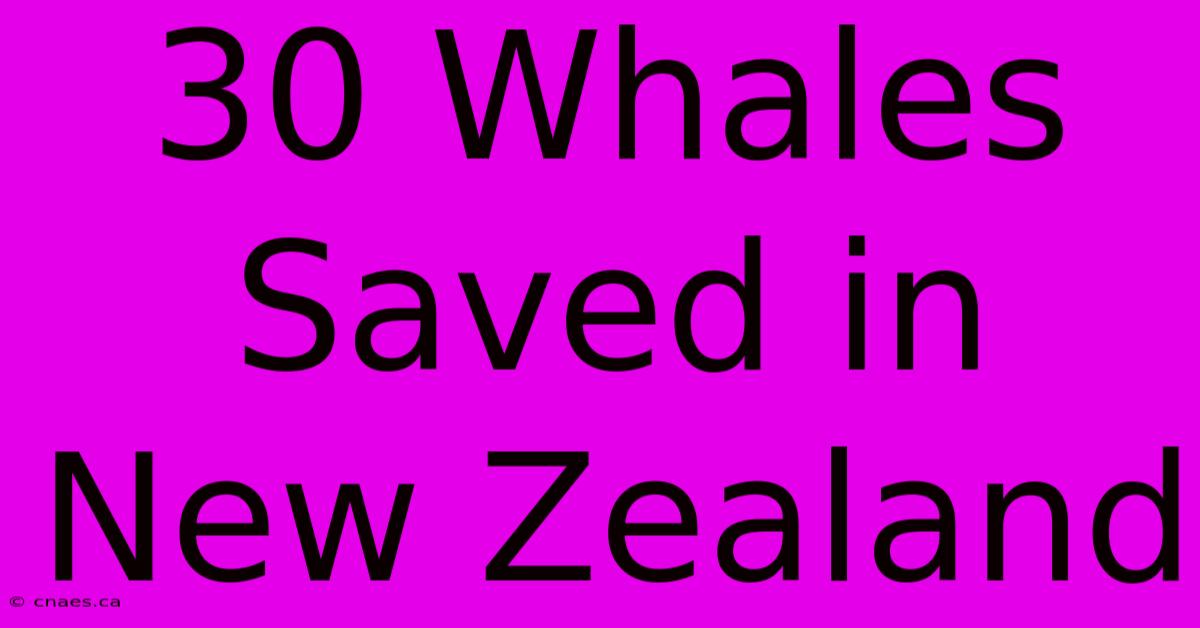 30 Whales Saved In New Zealand