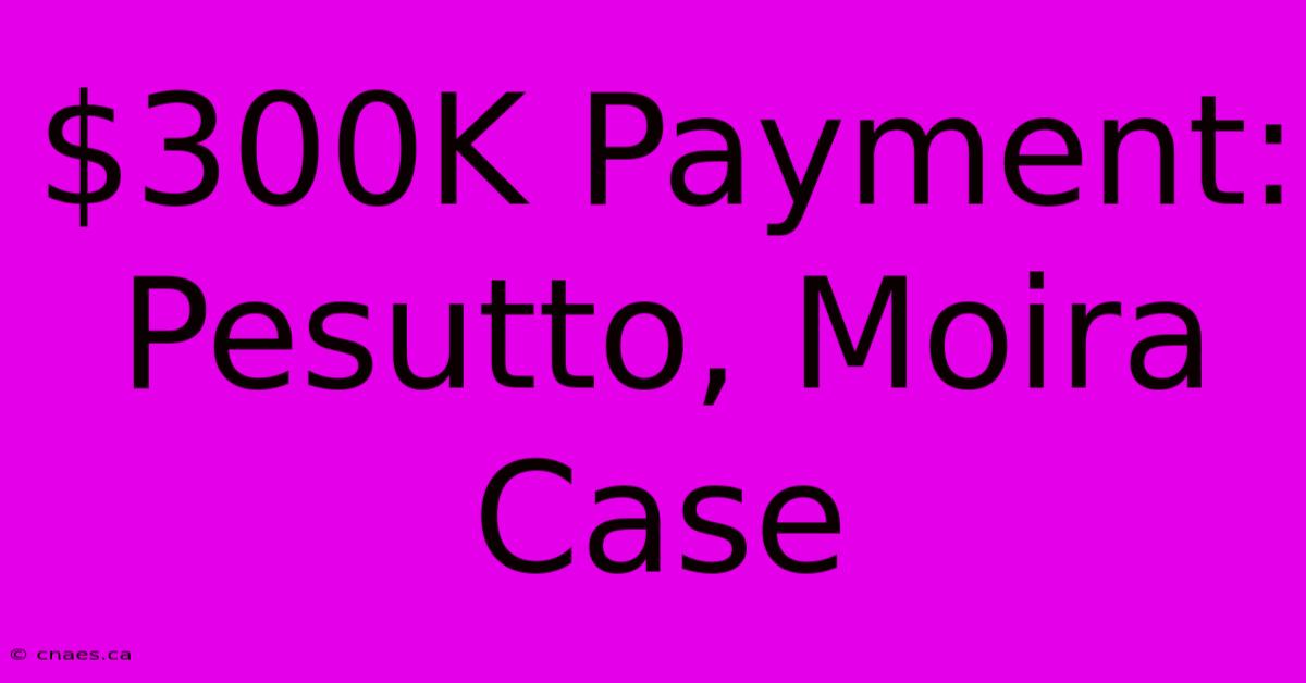 $300K Payment: Pesutto, Moira Case