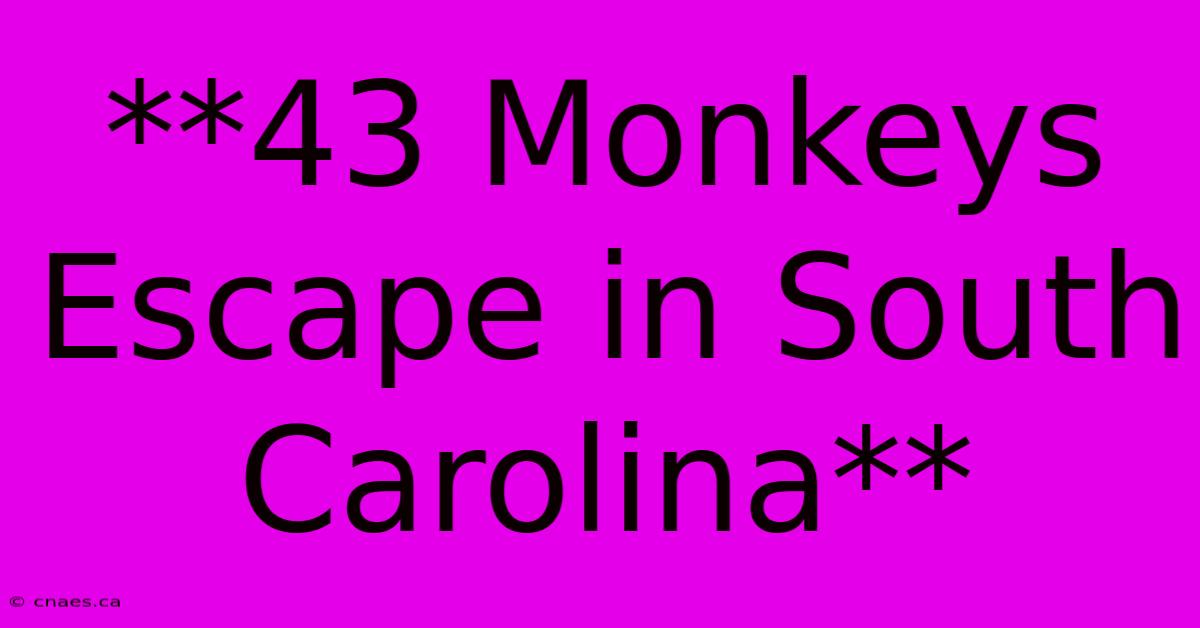 **43 Monkeys Escape In South Carolina**