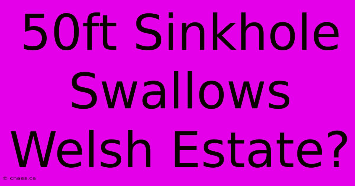 50ft Sinkhole Swallows Welsh Estate?