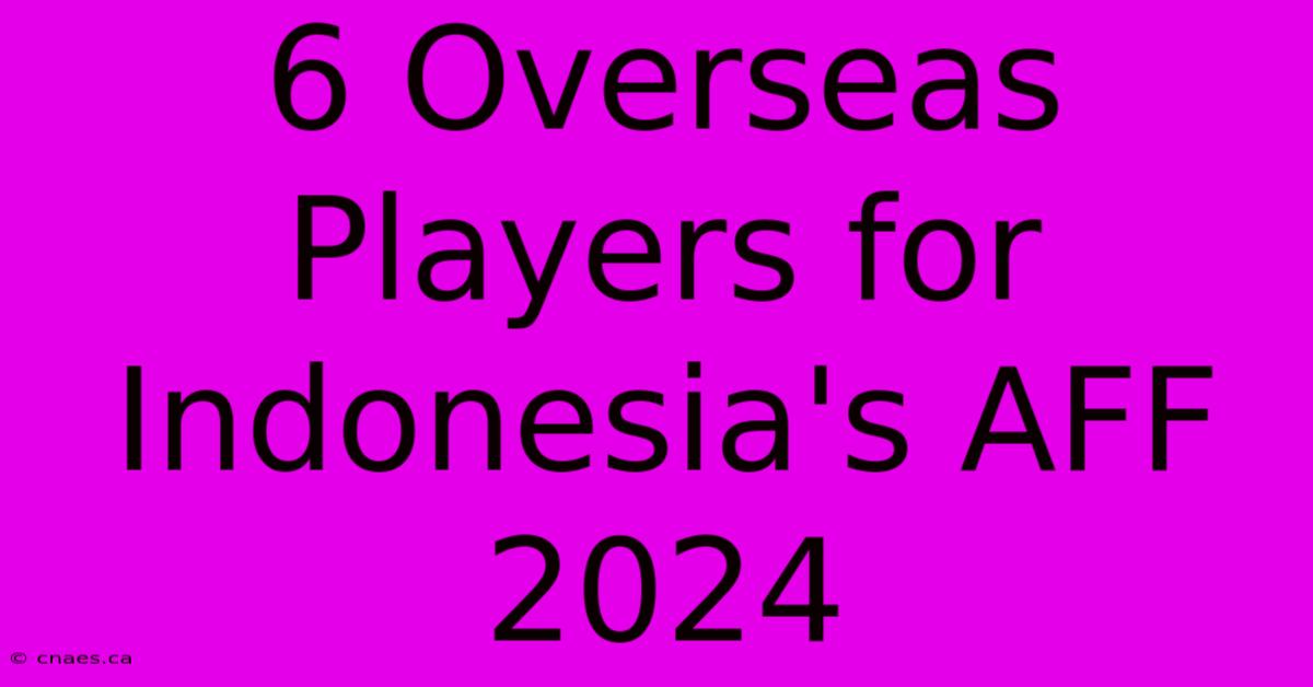 6 Overseas Players For Indonesia's AFF 2024