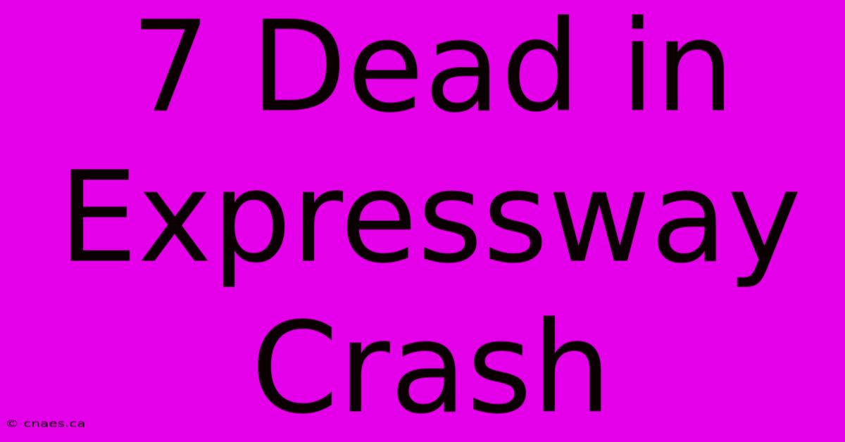 7 Dead In Expressway Crash