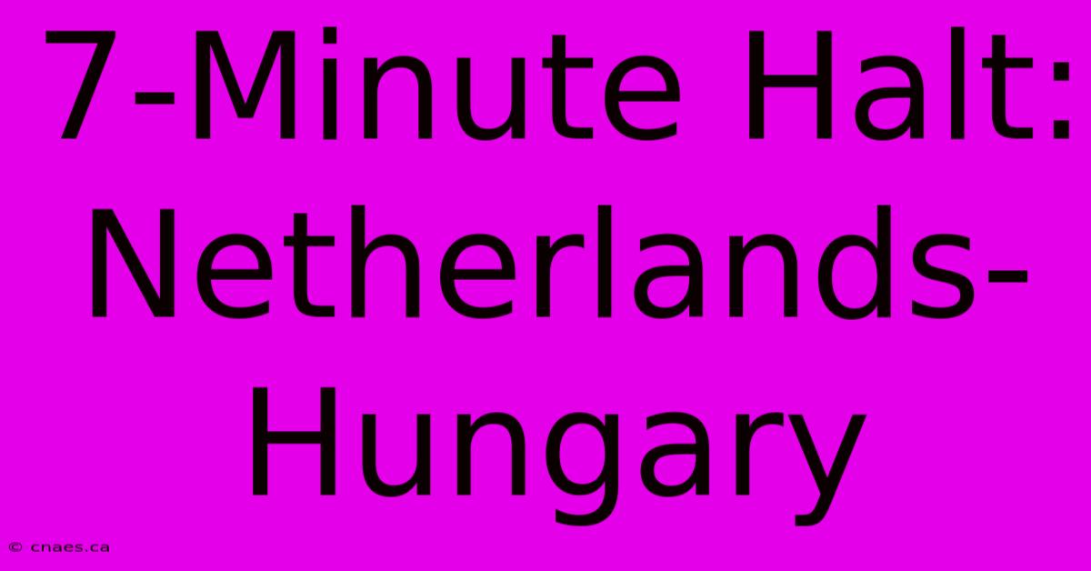 7-Minute Halt: Netherlands-Hungary