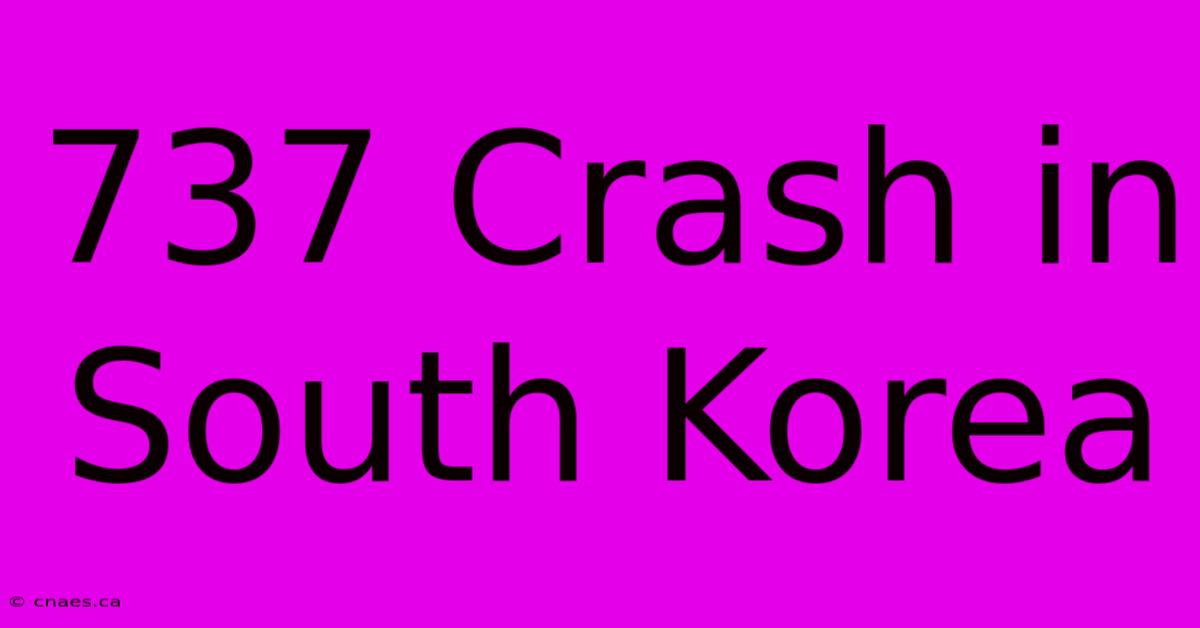 737 Crash In South Korea